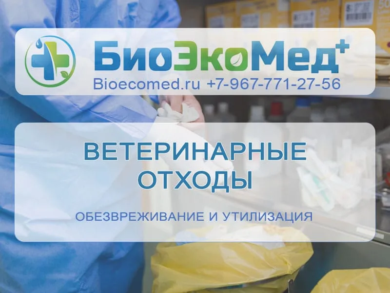 Ветеринарные отходы